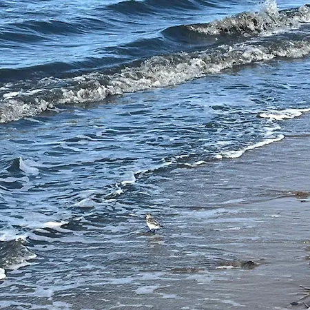 Right By The Water